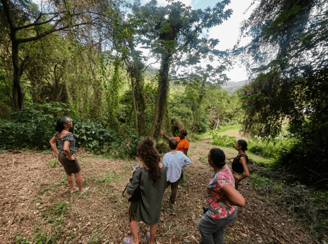 Savoirs écologiques autochtones