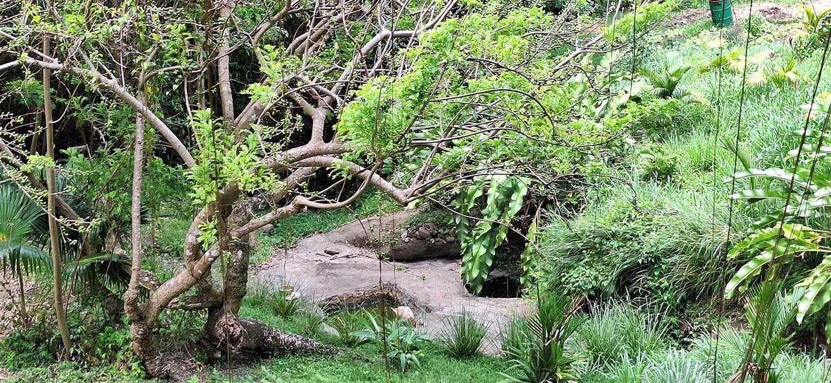La source naturelle du domaine Domenn Lantik